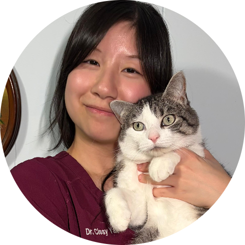 Profile for Cissy Yan