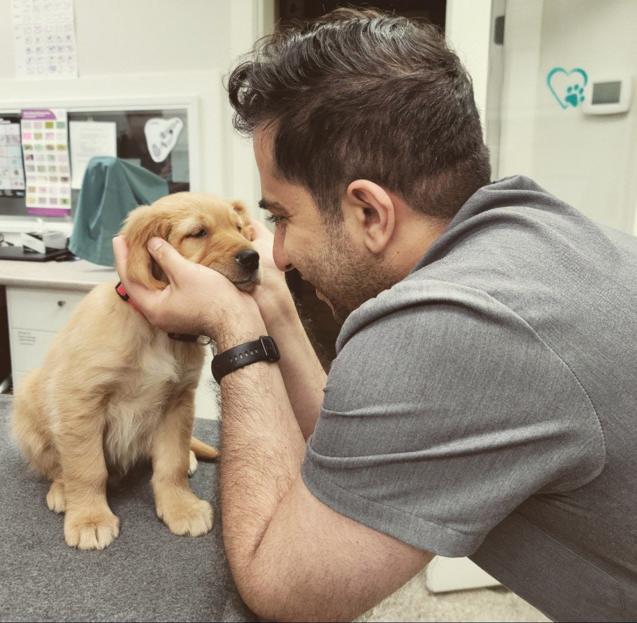 Profile for Matin Imani